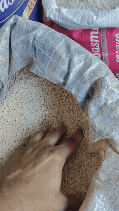 उरद मोगर urad mogar
