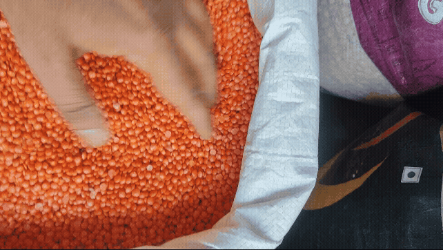 मसूर दाल masoor malka pulse