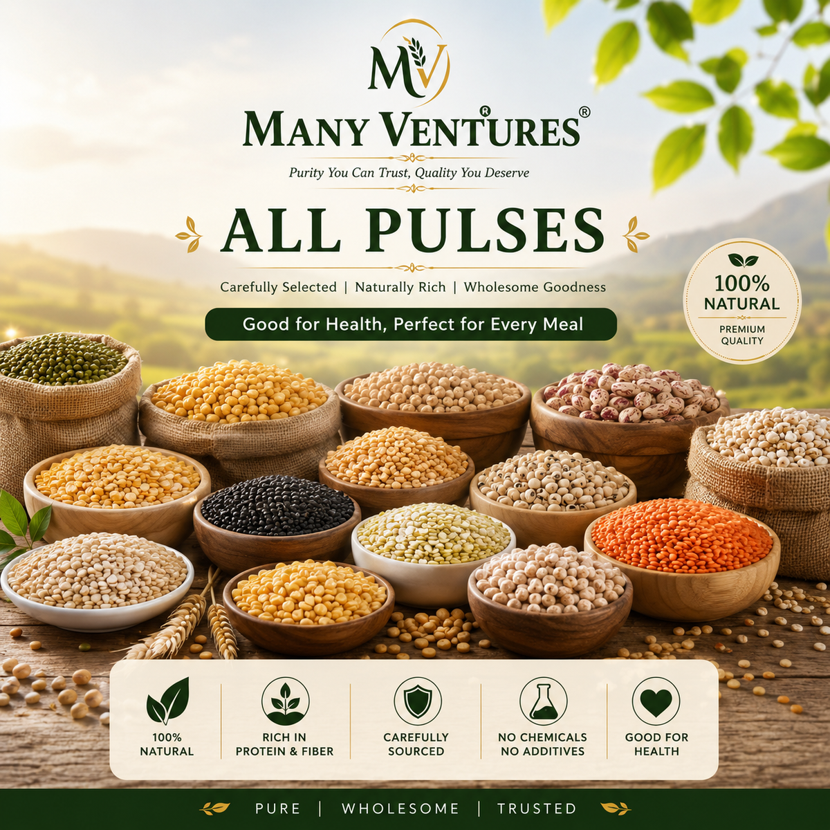 Pulses (दालें)