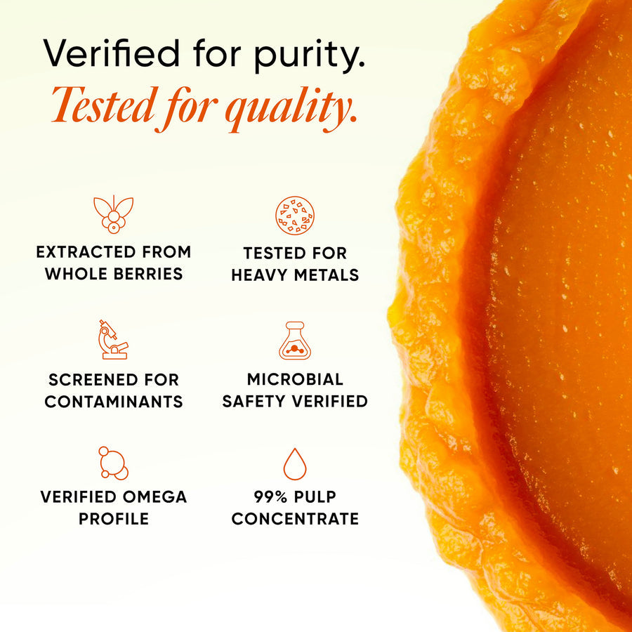 Many Ventures Sea Buckthorn Berry Pulp – 1000 ml | 99.9% natural Himalayan Superfood