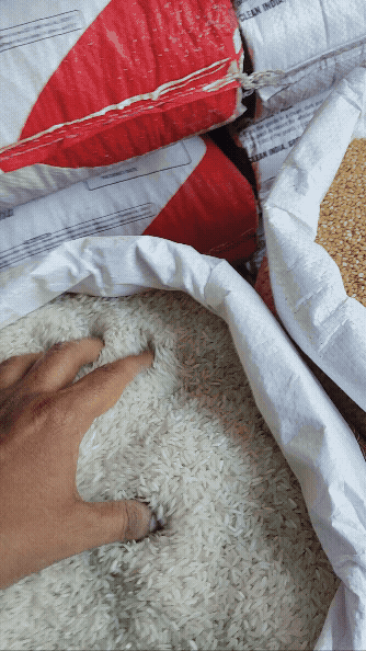 बासमती रोजाना basmati rojana rice