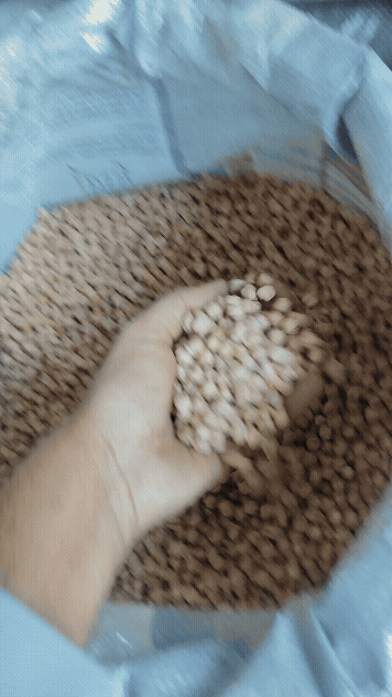 काबुली चना छोला kabuli chana chhola