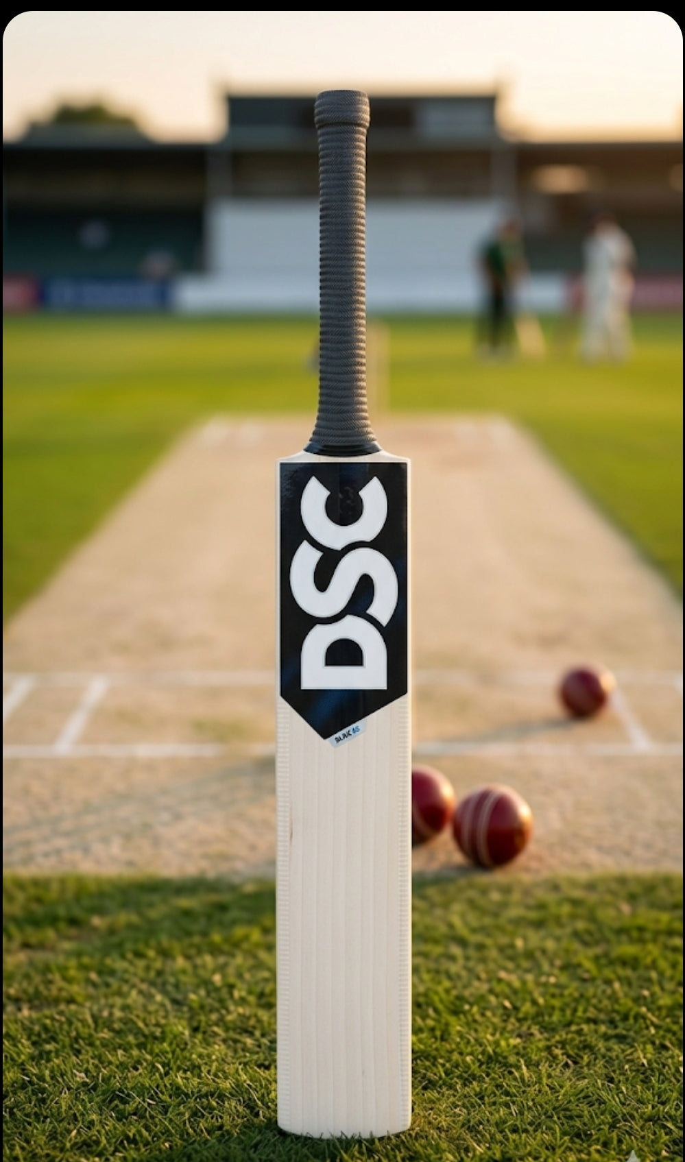 DSC Pro Cricket Bat – Premium English Willow Performance Bat