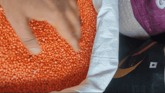 मसूर दाल masoor malka pulse